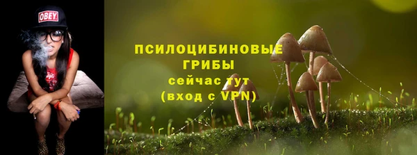 стаф Зерноград